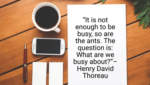 “It Is Not Enough To Be Busy, So Are The Ants