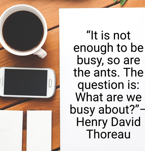 “It Is Not Enough To Be Busy, So Are The Ants